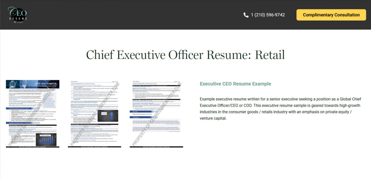 CEO Resume Writer Review
