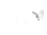 msn-logo-1