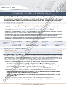 Executive COO Resume Example